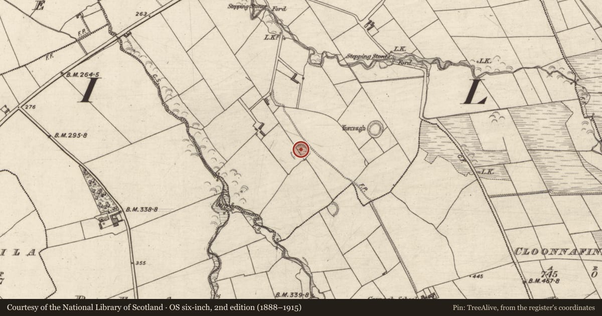 Ordnance Survey six-inch map, 2nd edition (1888–1915) covering the location of Ringfort - rath, Cloonnafinneela, County Kerry, with a pin at the register's coordinates