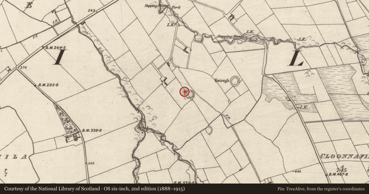 Ordnance Survey six-inch map, 2nd edition (1888–1915) covering the location of Fulacht fia, Cloonnafinneela, County Kerry, with a pin at the register's coordinates