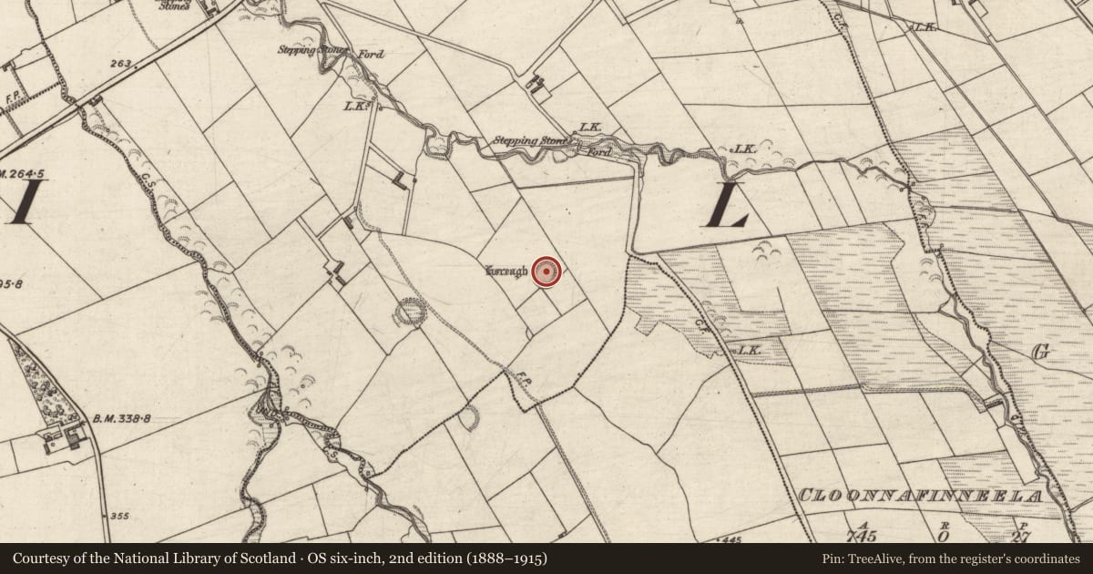 Ordnance Survey six-inch map, 2nd edition (1888–1915) covering the location of Ringfort - rath, Cloonnafinneela, County Kerry, with a pin at the register's coordinates