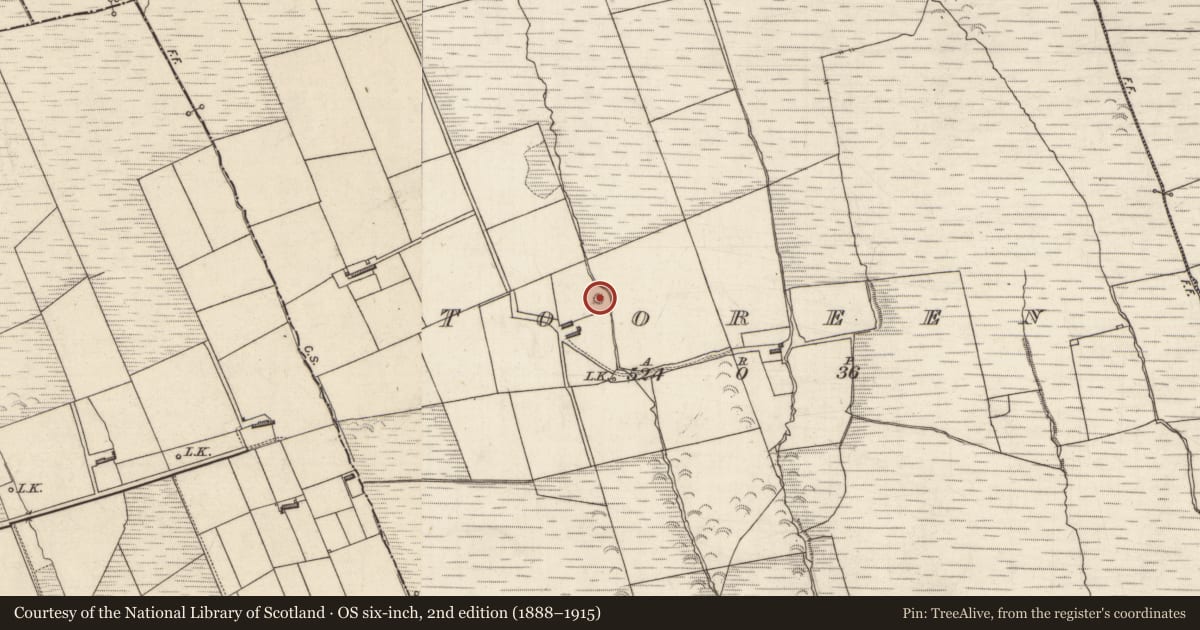Ordnance Survey six-inch map, 2nd edition (1888–1915) covering the location of Fulacht fia, Tooreen, County Kerry, with a pin at the register's coordinates