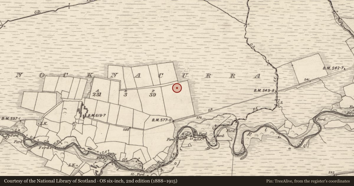 Ordnance Survey six-inch map, 2nd edition (1888–1915) covering the location of Cairn - unclassified, Knocknacurra, County Kerry, with a pin at the register's coordinates