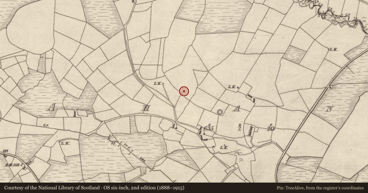 Ordnance Survey six-inch map, 2nd edition (1888–1915) covering the location of Fulacht fia, Ahane, County Kerry, with a pin at the register's coordinates