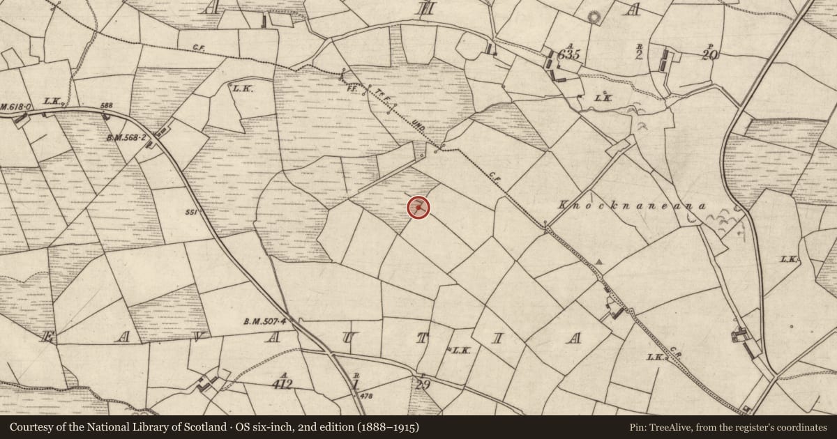 Ordnance Survey six-inch map, 2nd edition (1888–1915) covering the location of Stone row, Feavautia, County Kerry, with a pin at the register's coordinates