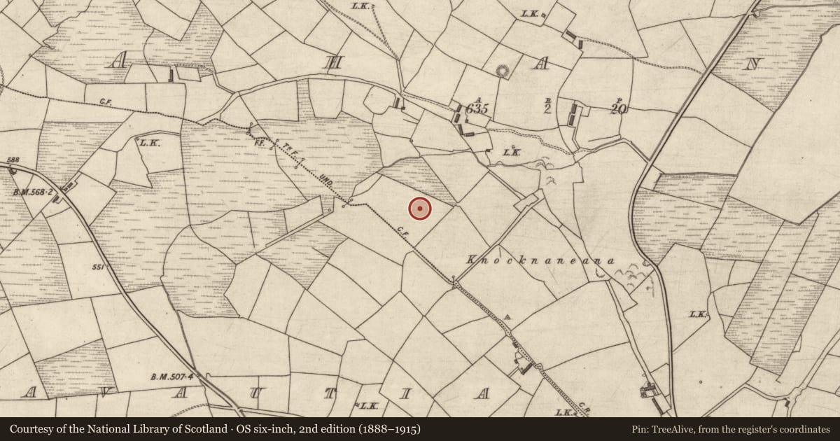 Ordnance Survey six-inch map, 2nd edition (1888–1915) covering the location of Barrow - ring-barrow, Ahane, County Kerry, with a pin at the register's coordinates