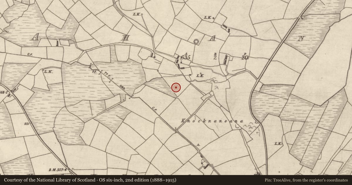 Ordnance Survey six-inch map, 2nd edition (1888–1915) covering the location of Fulacht fia, Ahane, County Kerry, with a pin at the register's coordinates