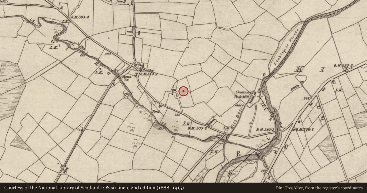 Ordnance Survey six-inch map, 2nd edition (1888–1915) covering the location of Standing stone, Beheenagh, County Kerry, with a pin at the register's coordinates