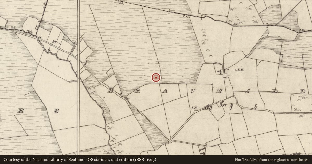 Ordnance Survey six-inch map, 2nd edition (1888–1915) covering the location of Field boundary, Braumaddra, County Kerry, with a pin at the register's coordinates