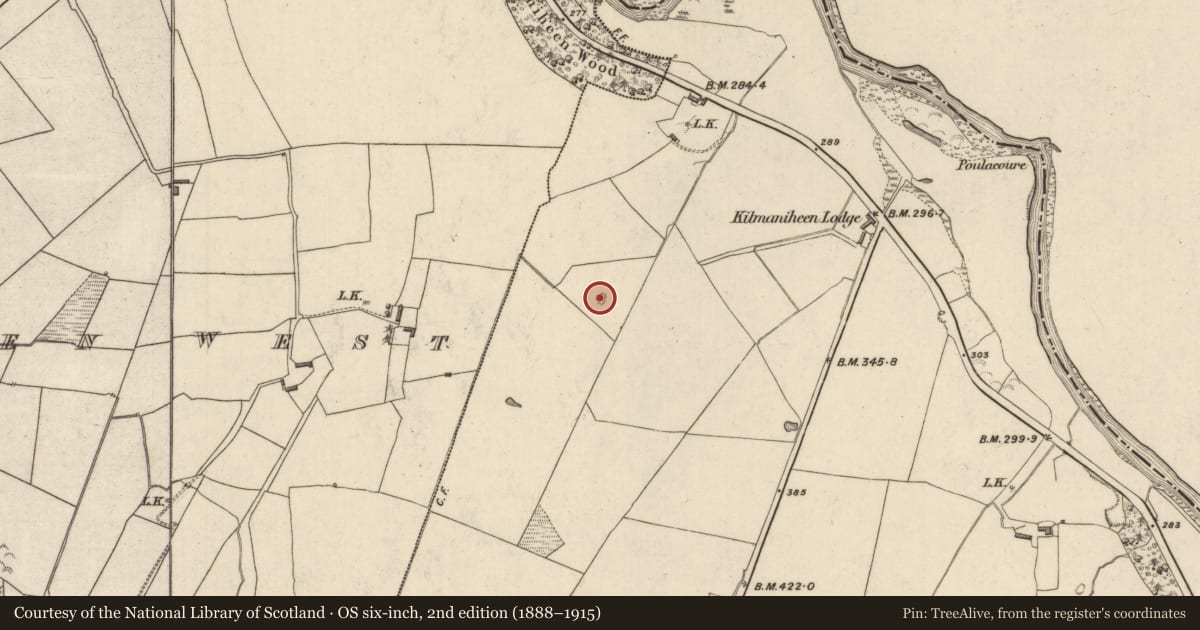 Ordnance Survey six-inch map, 2nd edition (1888–1915) covering the location of Fulacht fia, Kilmaniheen East, County Kerry, with a pin at the register's coordinates