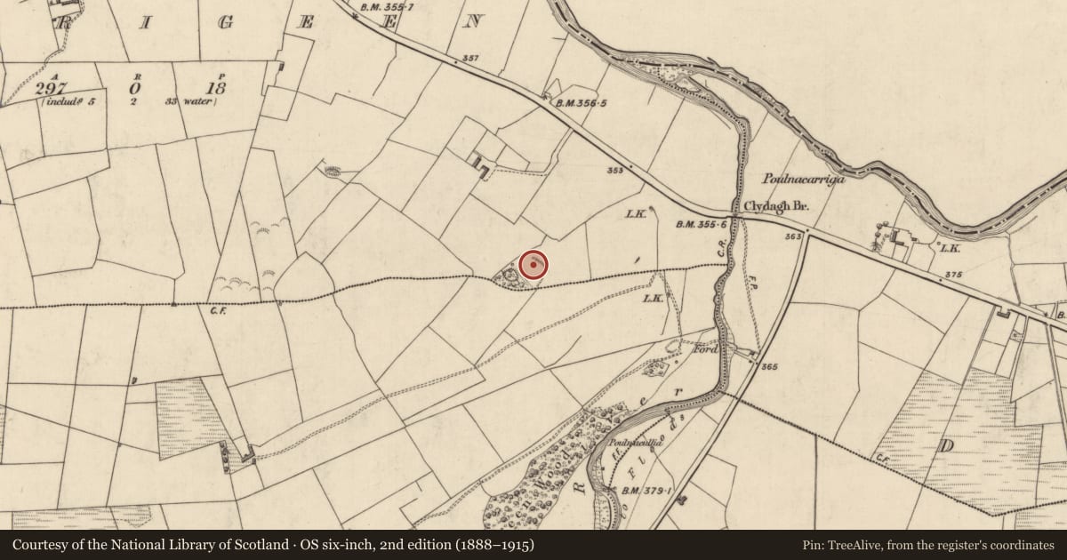Ordnance Survey six-inch map, 2nd edition (1888–1915) covering the location of Moated site, Carrigeen, County Kerry, with a pin at the register's coordinates