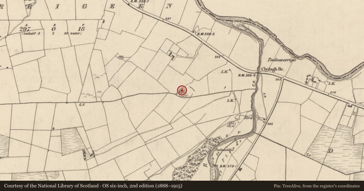 Ordnance Survey six-inch map, 2nd edition (1888–1915) covering the location of Enclosure, Carrigeen, County Kerry, with a pin at the register's coordinates
