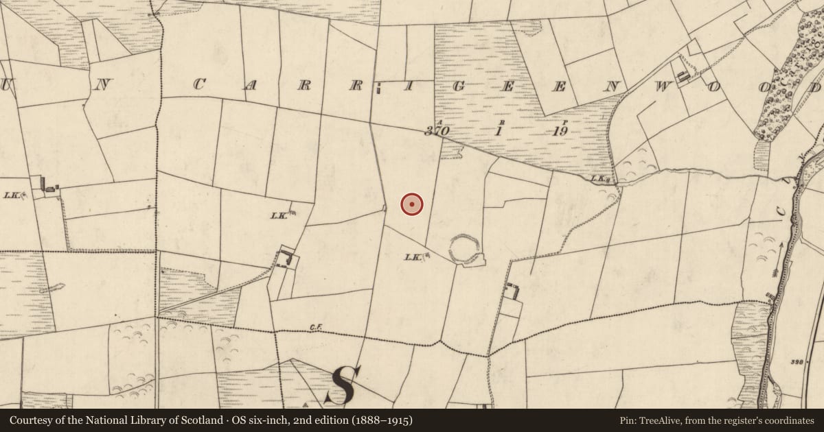 Ordnance Survey six-inch map, 2nd edition (1888–1915) covering the location of Fulacht fia, Carrigeenwood, County Kerry, with a pin at the register's coordinates