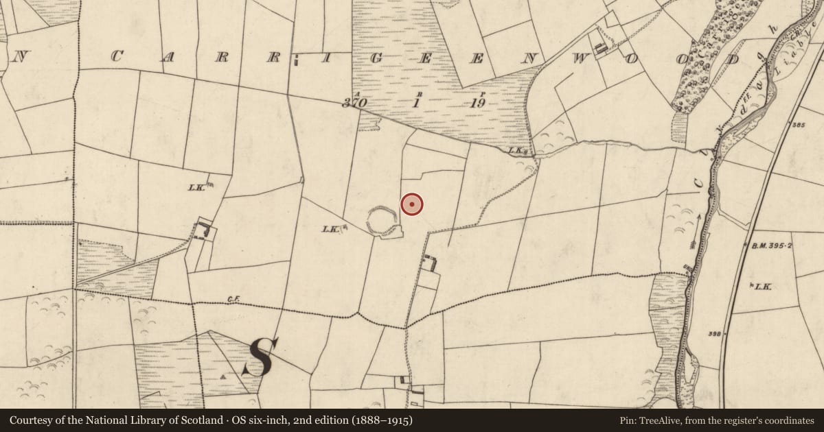 Ordnance Survey six-inch map, 2nd edition (1888–1915) covering the location of Enclosure, Carrigeenwood, County Kerry, with a pin at the register's coordinates