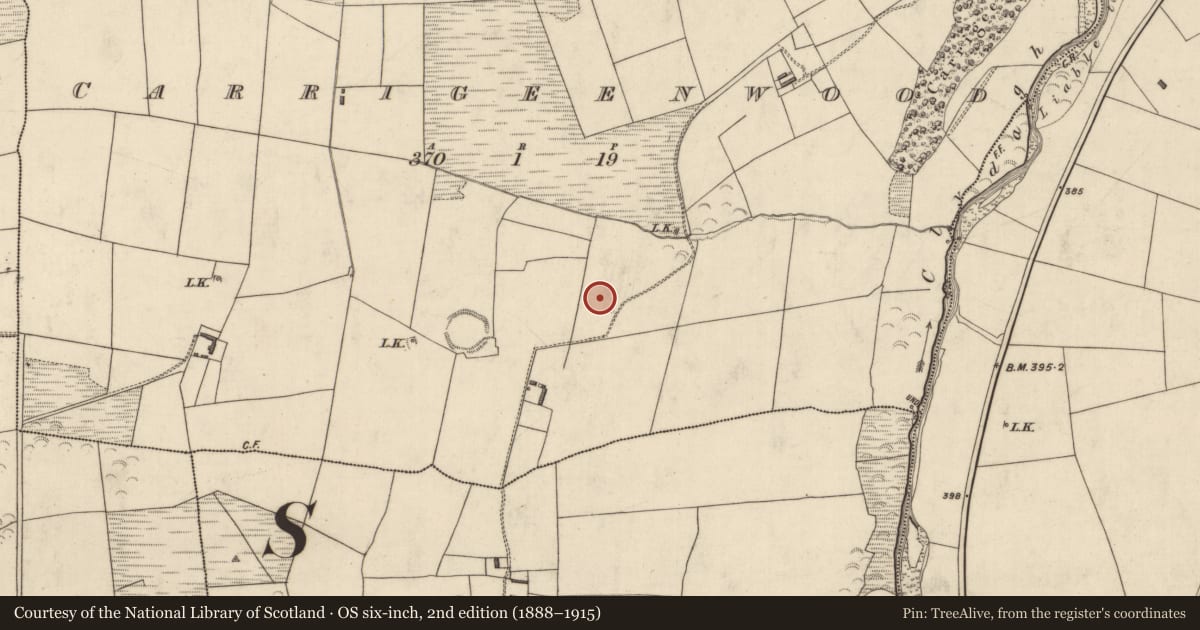 Ordnance Survey six-inch map, 2nd edition (1888–1915) covering the location of Enclosure, Carrigeenwood, County Kerry, with a pin at the register's coordinates
