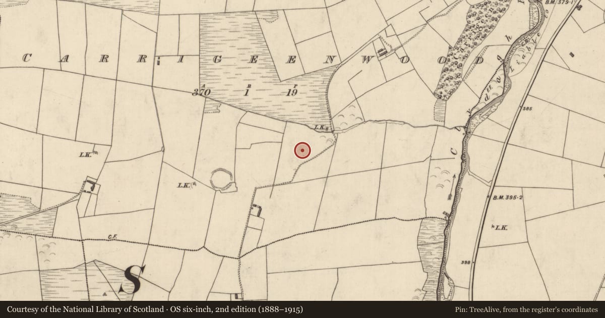 Ordnance Survey six-inch map, 2nd edition (1888–1915) covering the location of Enclosure, Carrigeenwood, County Kerry, with a pin at the register's coordinates