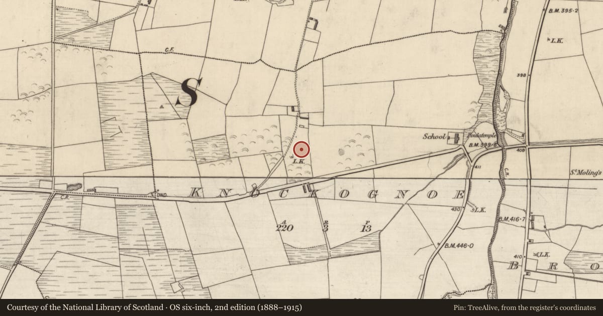 Ordnance Survey six-inch map, 2nd edition (1888–1915) covering the location of Enclosure, Knockognoe, County Kerry, with a pin at the register's coordinates