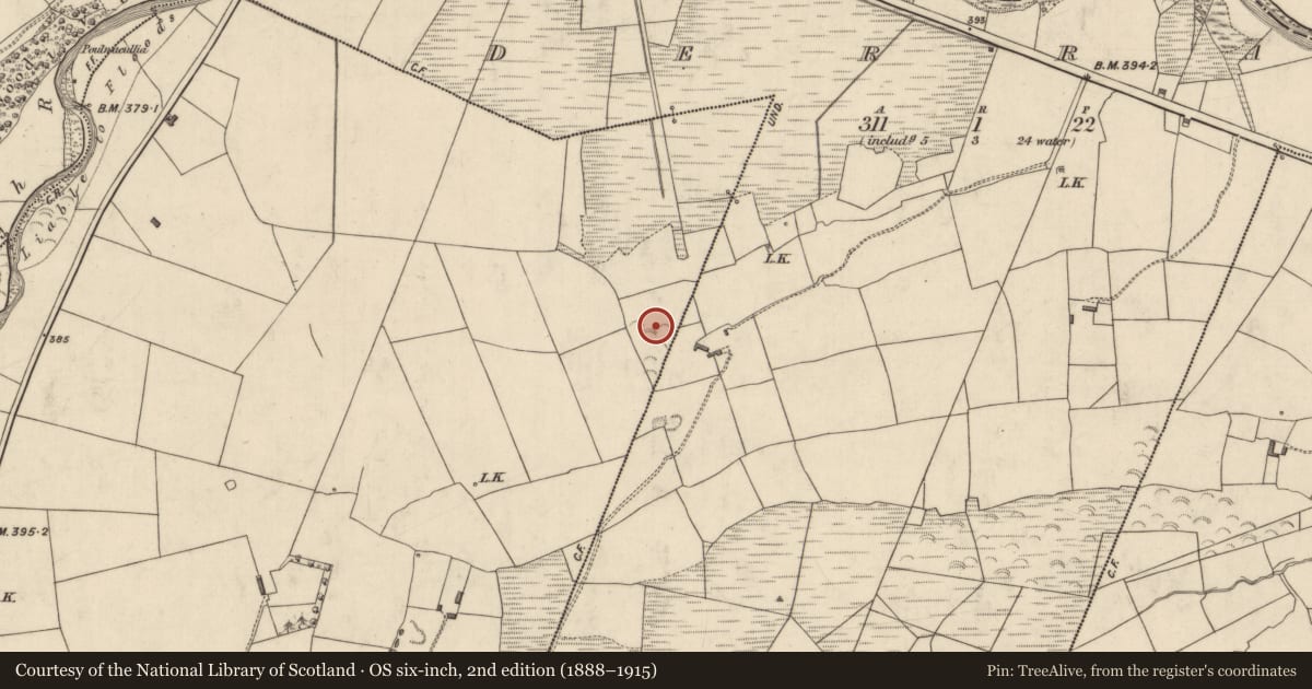 Ordnance Survey six-inch map, 2nd edition (1888–1915) covering the location of Enclosure, Brosna West, County Kerry, with a pin at the register's coordinates