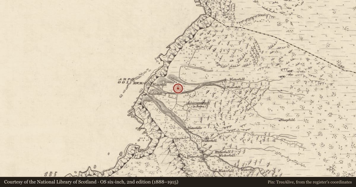 Ordnance Survey six-inch map, 2nd edition (1888–1915) covering the location of Field system, Baile Na Habha (TC Cill Chuáin), County Kerry, with a pin at the register's coordinates