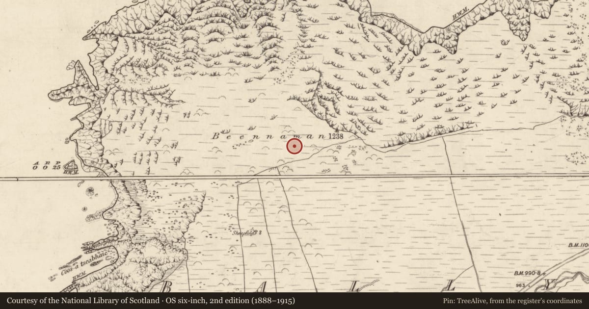 Ordnance Survey six-inch map, 2nd edition (1888–1915) covering the location of Field boundary, Baile Na Habha (TC Cill Chuáin), County Kerry, with a pin at the register's coordinates