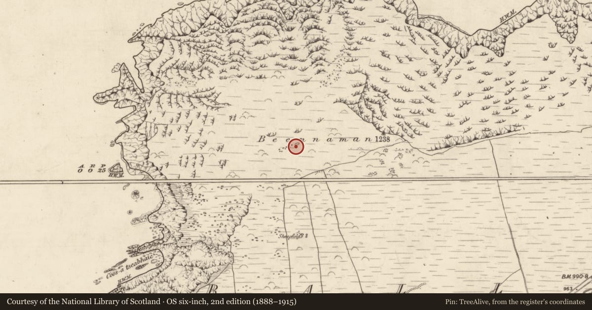 Ordnance Survey six-inch map, 2nd edition (1888–1915) covering the location of Hut site, Baile Na Habha (TC Cill Chuáin), County Kerry, with a pin at the register's coordinates