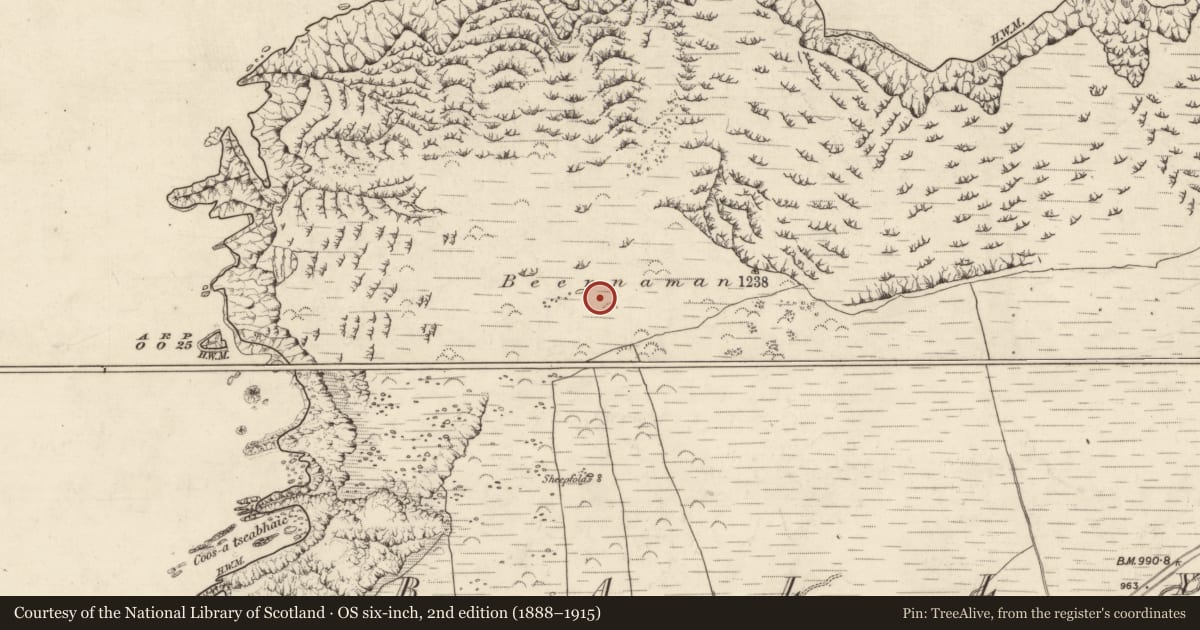 Ordnance Survey six-inch map, 2nd edition (1888–1915) covering the location of Field boundary, Baile Na Habha (TC Cill Chuáin), County Kerry, with a pin at the register's coordinates