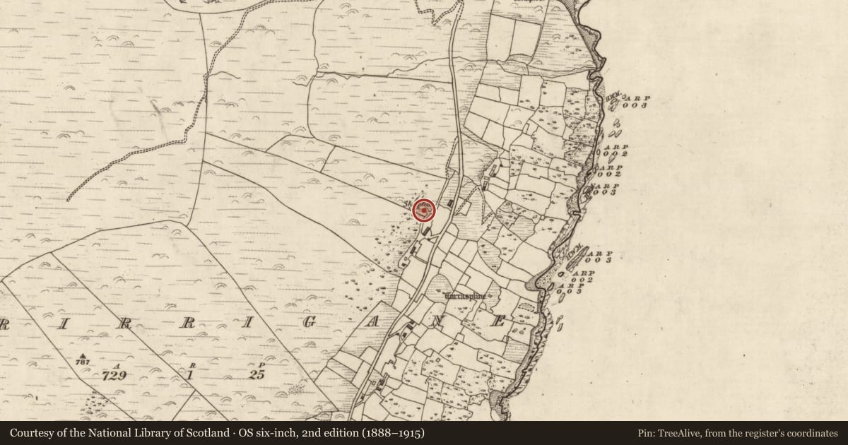Ordnance Survey six-inch map, 2nd edition (1888–1915) covering the location of Hut site, Murorgán, County Kerry, with a pin at the register's coordinates