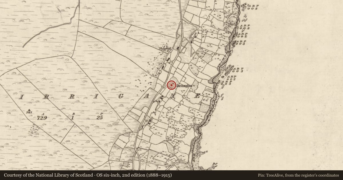 Ordnance Survey six-inch map, 2nd edition (1888–1915) covering the location of Clochan, Murorgán, County Kerry, with a pin at the register's coordinates