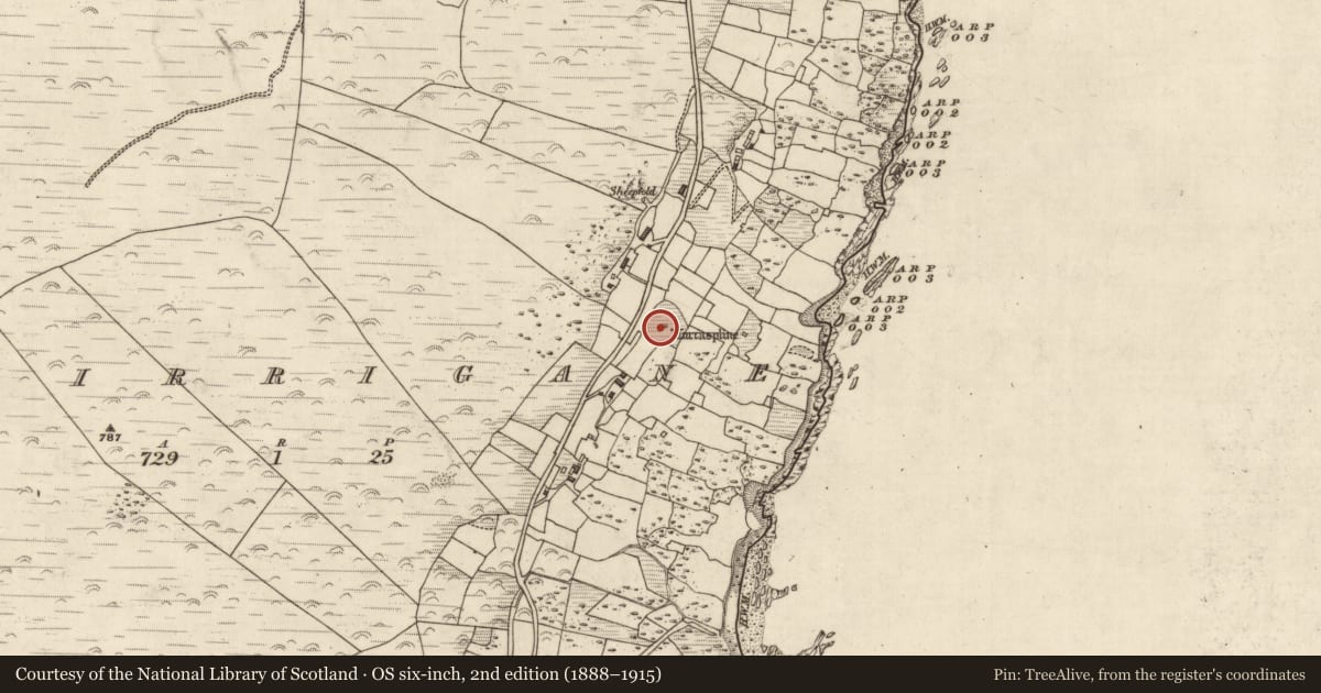 Ordnance Survey six-inch map, 2nd edition (1888–1915) covering the location of Hut site, Murorgán, County Kerry, with a pin at the register's coordinates