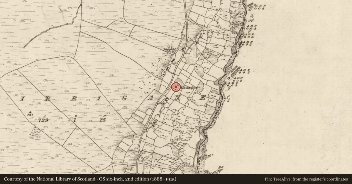 Ordnance Survey six-inch map, 2nd edition (1888–1915) covering the location of Clochan, Murorgán, County Kerry, with a pin at the register's coordinates