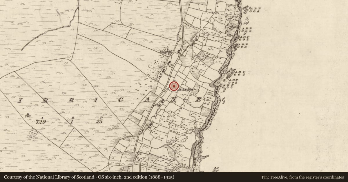 Ordnance Survey six-inch map, 2nd edition (1888–1915) covering the location of Clochan, Murorgán, County Kerry, with a pin at the register's coordinates