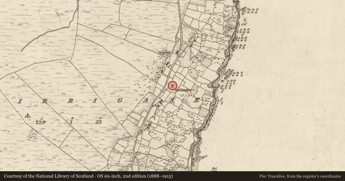 Ordnance Survey six-inch map, 2nd edition (1888–1915) covering the location of Clochan, Murorgán, County Kerry, with a pin at the register's coordinates