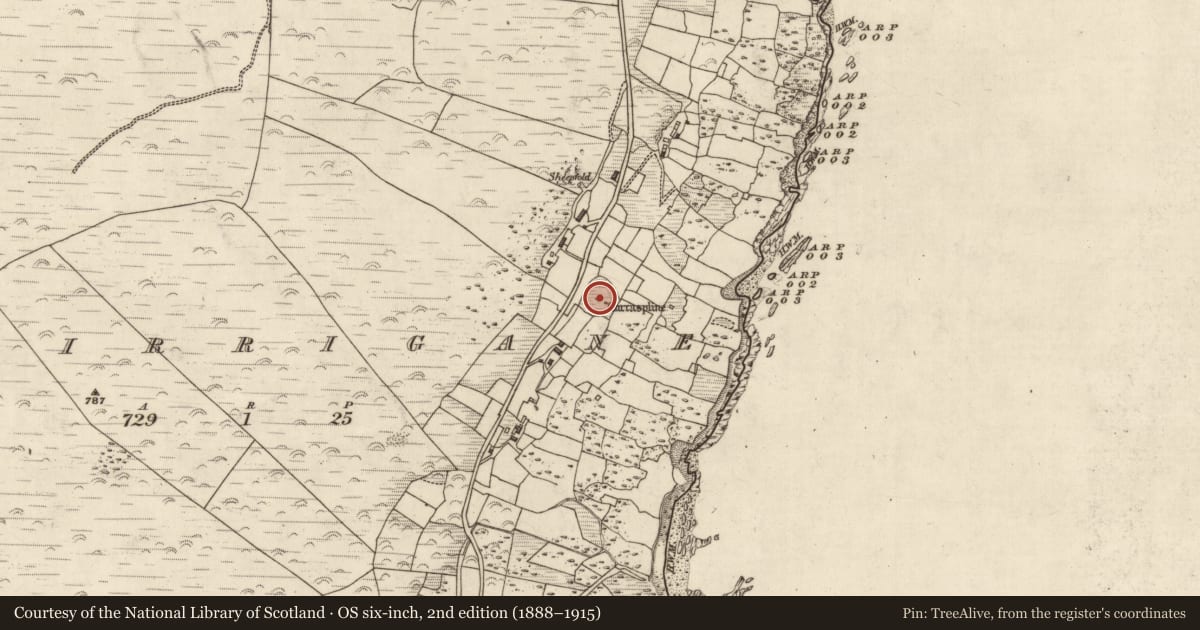 Ordnance Survey six-inch map, 2nd edition (1888–1915) covering the location of Church, Murorgán, County Kerry, with a pin at the register's coordinates