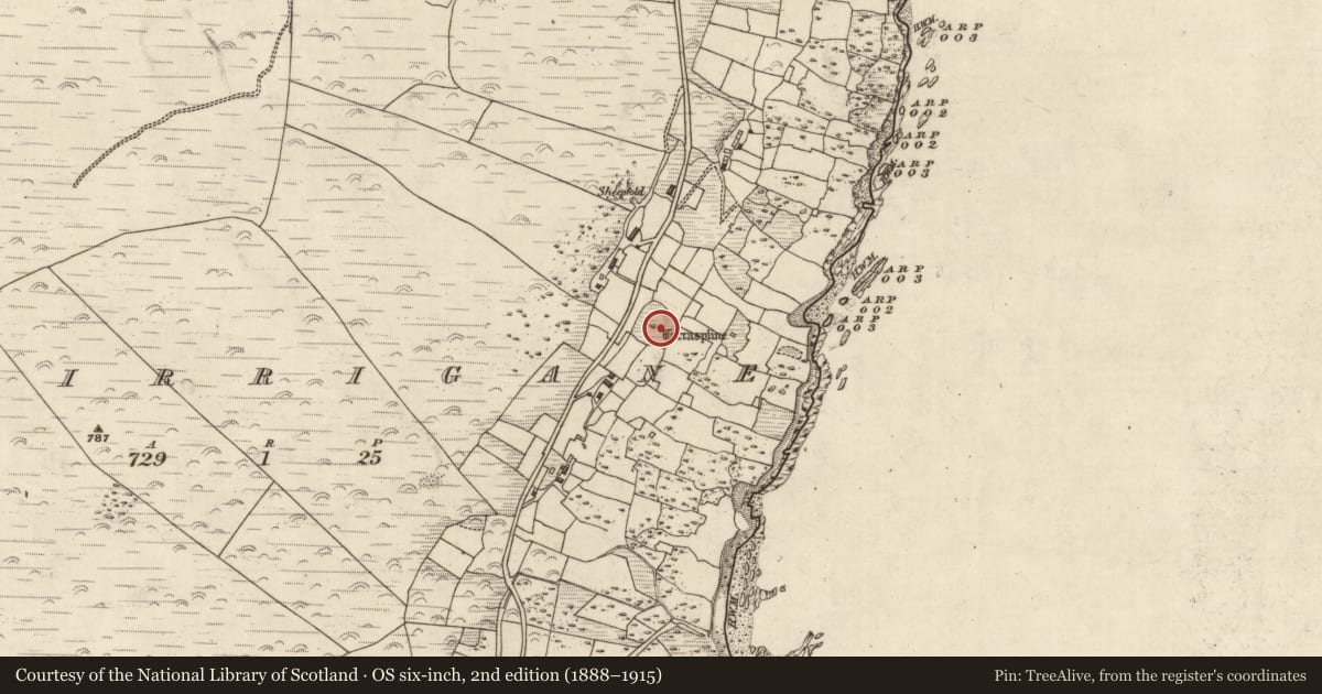 Ordnance Survey six-inch map, 2nd edition (1888–1915) covering the location of Penitential station, Murorgán, County Kerry, with a pin at the register's coordinates