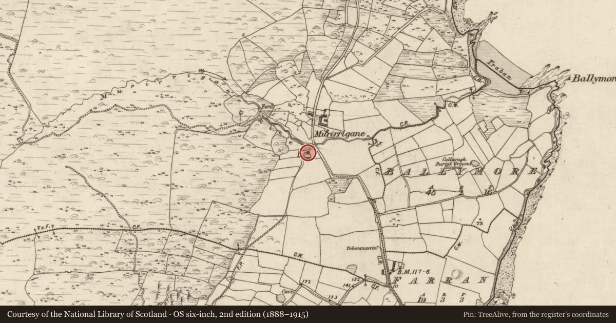 Ordnance Survey six-inch map, 2nd edition (1888–1915) covering the location of Hut site, Murorgán, County Kerry, with a pin at the register's coordinates