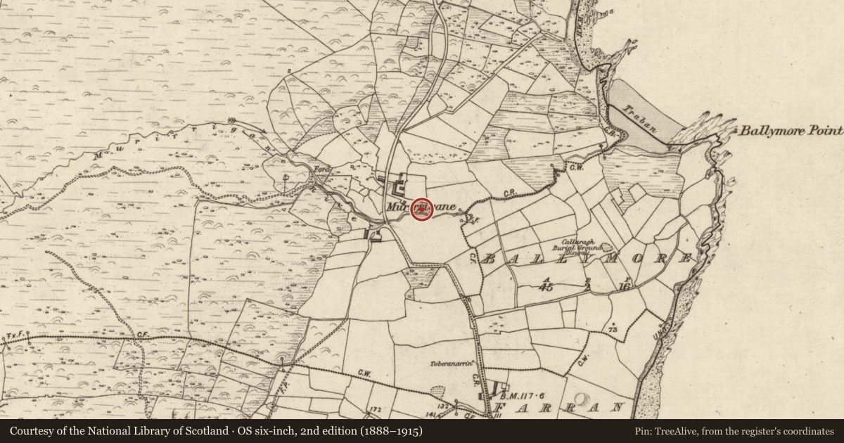 Ordnance Survey six-inch map, 2nd edition (1888–1915) covering the location of Children's burial ground, Murorgán, County Kerry, with a pin at the register's coordinates
