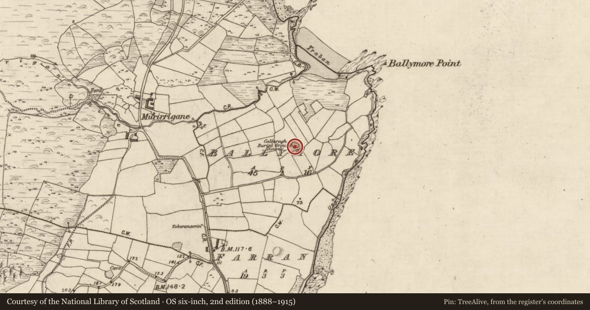 Ordnance Survey six-inch map, 2nd edition (1888–1915) covering the location of Children's burial ground, An Baile Mór, County Kerry, with a pin at the register's coordinates