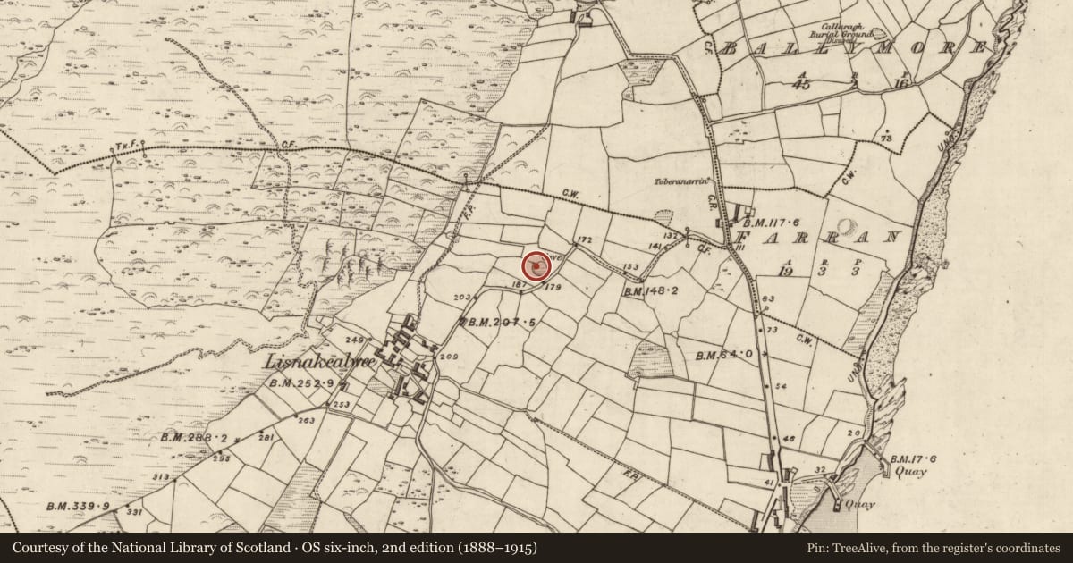 Ordnance Survey six-inch map, 2nd edition (1888–1915) covering the location of Hut site, Lios Na Caolbhuí, County Kerry, with a pin at the register's coordinates