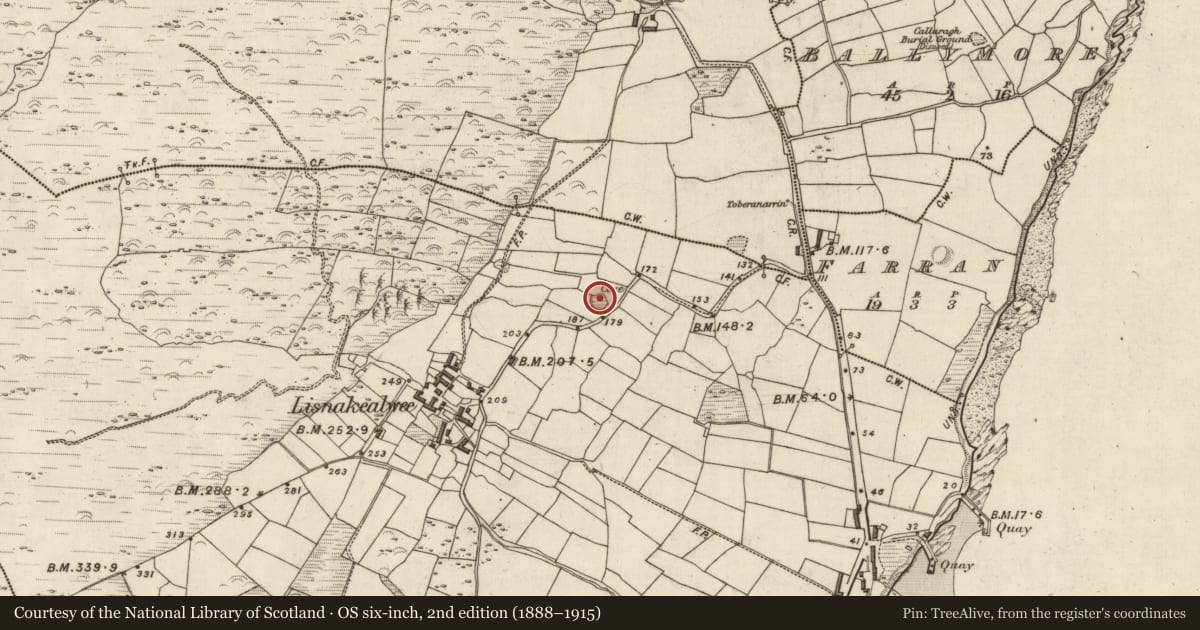 Ordnance Survey six-inch map, 2nd edition (1888–1915) covering the location of Souterrain, Lios Na Caolbhuí, County Kerry, with a pin at the register's coordinates