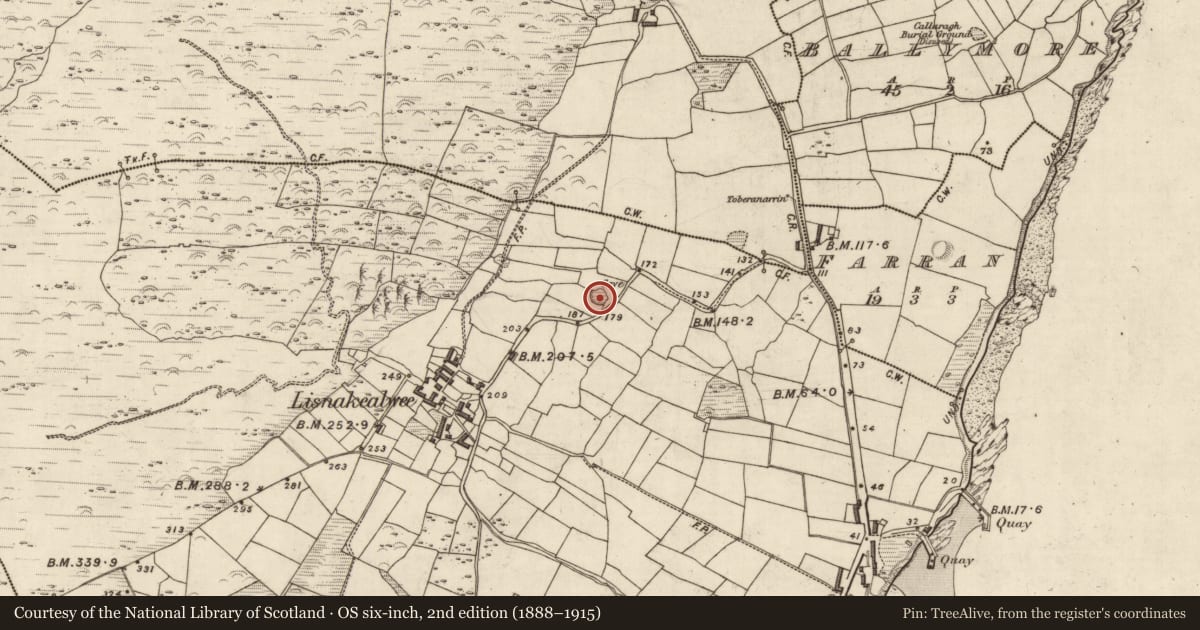 Ordnance Survey six-inch map, 2nd edition (1888–1915) covering the location of Hut site, Lios Na Caolbhuí, County Kerry, with a pin at the register's coordinates