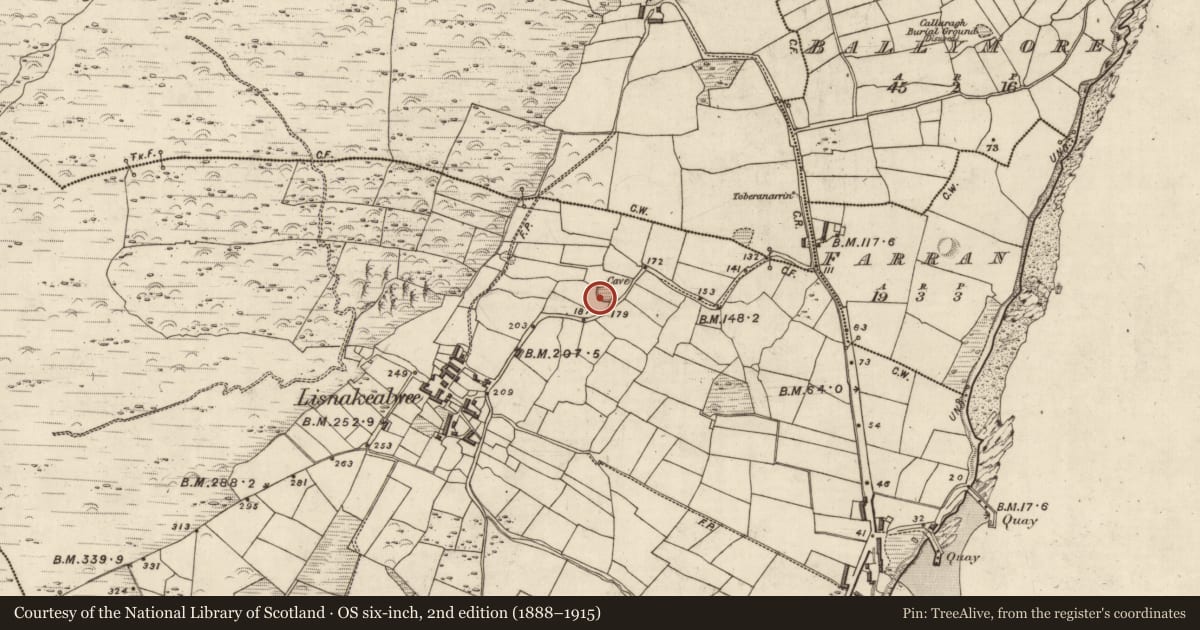 Ordnance Survey six-inch map, 2nd edition (1888–1915) covering the location of Hut site, Lios Na Caolbhuí, County Kerry, with a pin at the register's coordinates