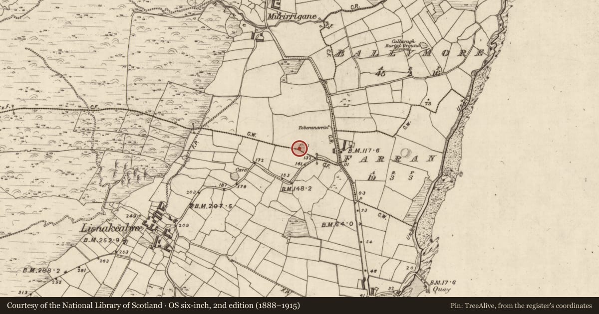 Ordnance Survey six-inch map, 2nd edition (1888–1915) covering the location of Hut site, Murorgán, County Kerry, with a pin at the register's coordinates