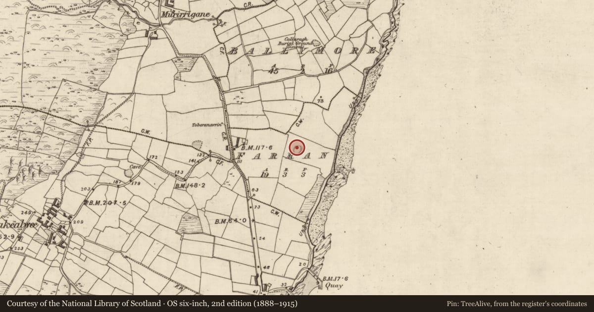 Ordnance Survey six-inch map, 2nd edition (1888–1915) covering the location of Hut site, An Fearann (TC Cé Bhréanainn), County Kerry, with a pin at the register's coordinates