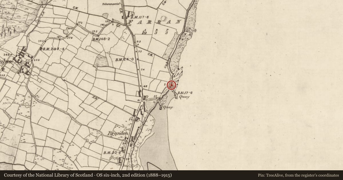 Ordnance Survey six-inch map, 2nd edition (1888–1915) covering the location of Midden, Lios Na Caolbhuí, County Kerry, with a pin at the register's coordinates