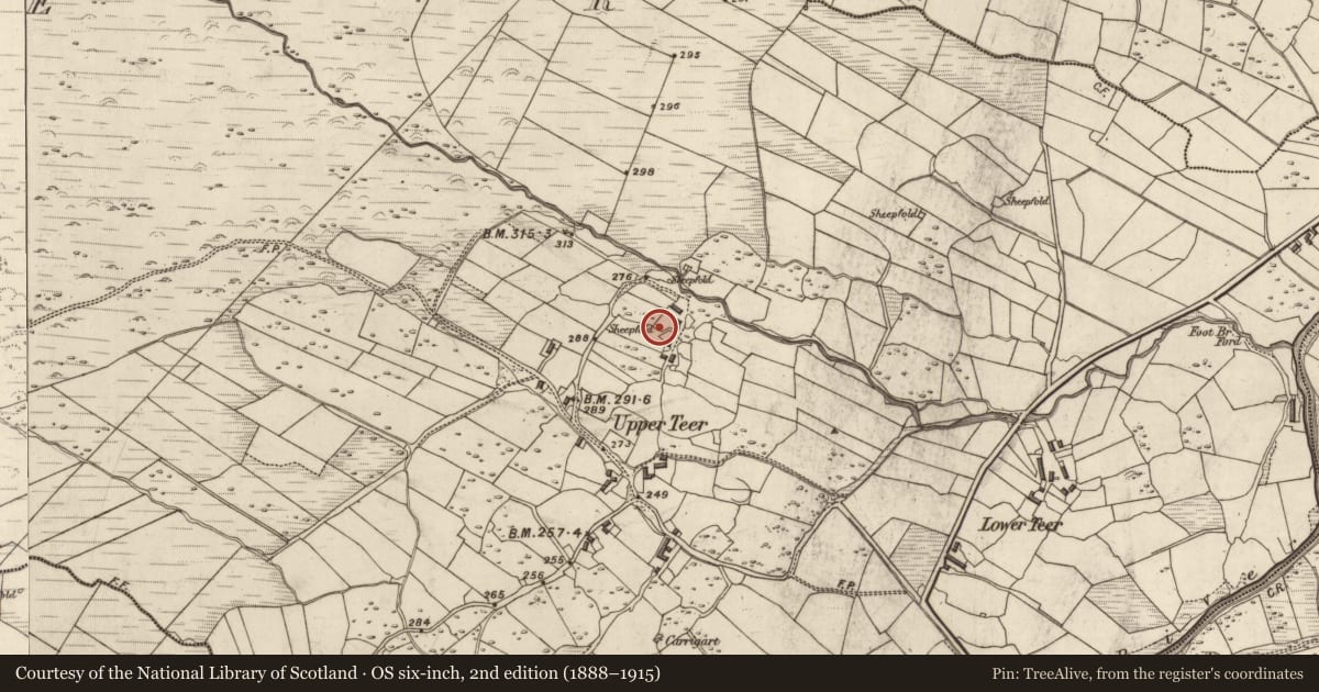 Ordnance Survey six-inch map, 2nd edition (1888–1915) covering the location of Hut site, An Tír, County Kerry, with a pin at the register's coordinates