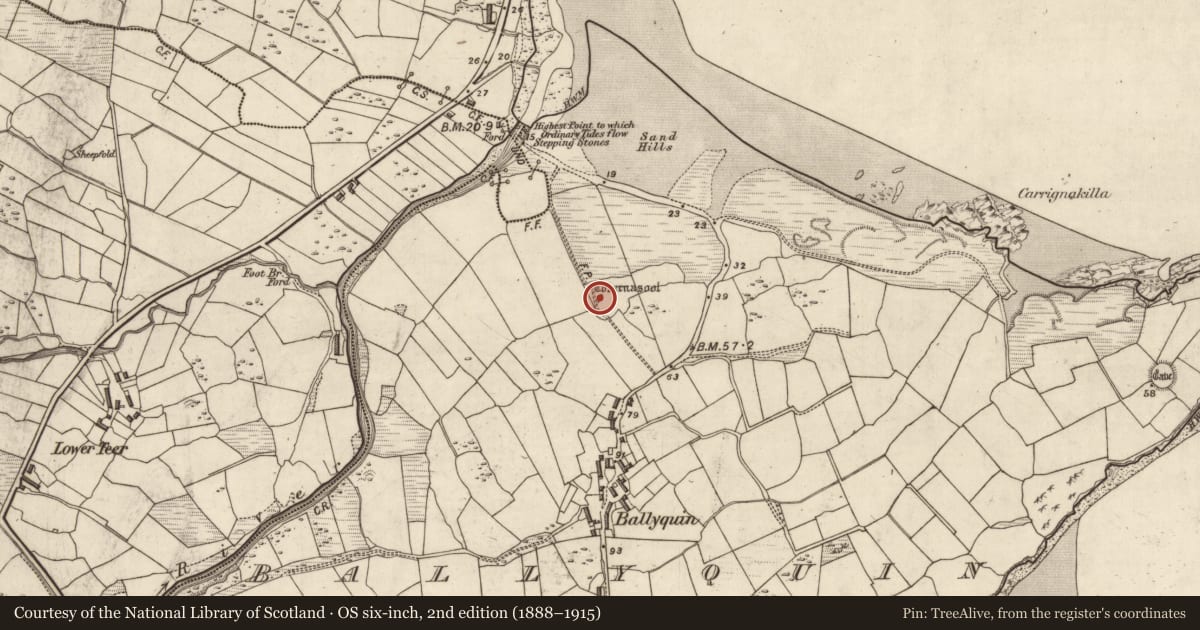 Ordnance Survey six-inch map, 2nd edition (1888–1915) covering the location of Souterrain, Baile Uí Bhuinn, County Kerry, with a pin at the register's coordinates