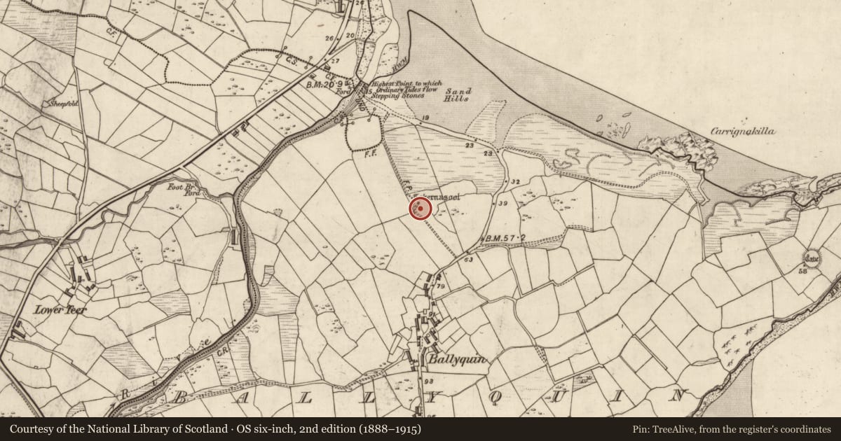 Ordnance Survey six-inch map, 2nd edition (1888–1915) covering the location of Ringfort - rath, Baile Uí Bhuinn, County Kerry, with a pin at the register's coordinates
