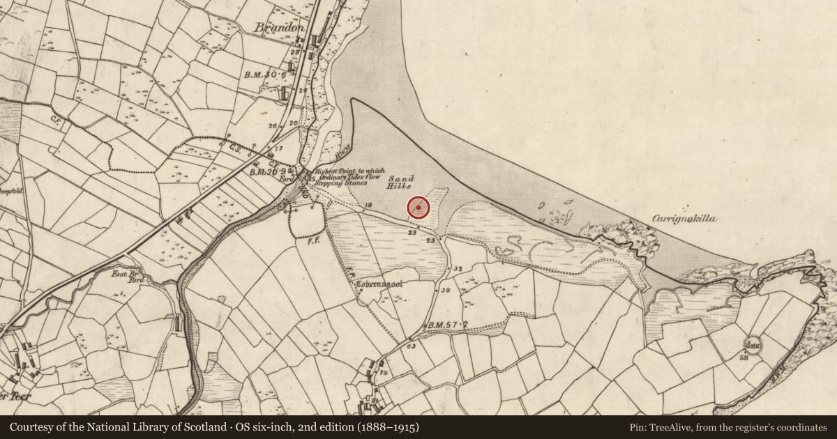 Ordnance Survey six-inch map, 2nd edition (1888–1915) covering the location of Burial ground, Baile Uí Bhuinn, County Kerry, with a pin at the register's coordinates