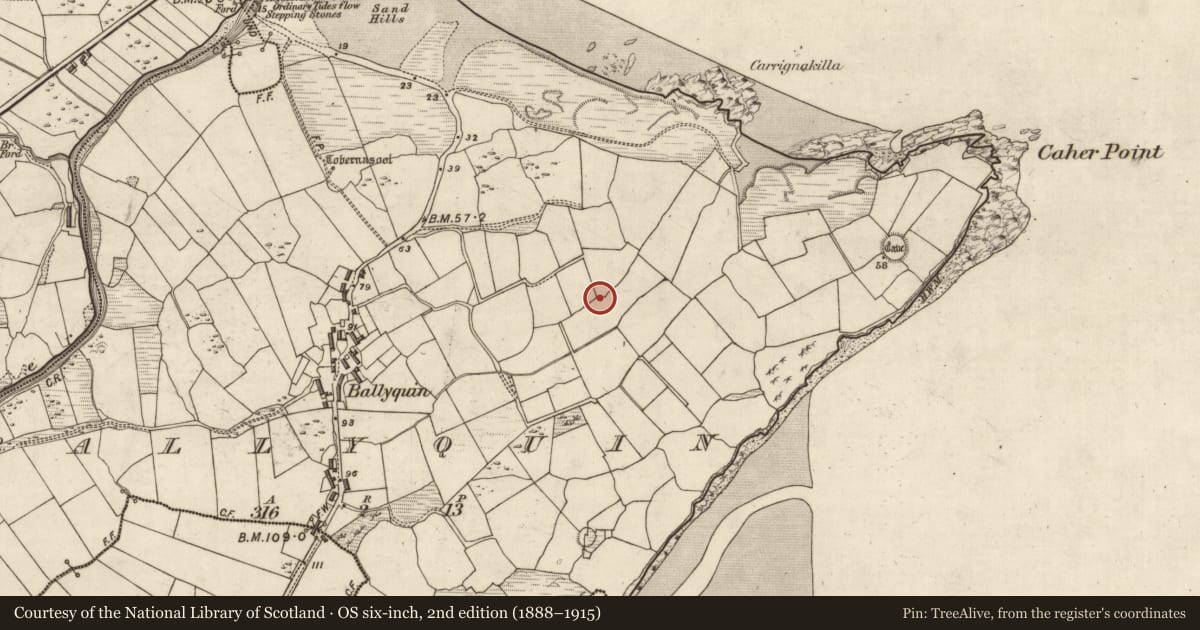 Ordnance Survey six-inch map, 2nd edition (1888–1915) covering the location of Souterrain, Baile Uí Bhuinn, County Kerry, with a pin at the register's coordinates