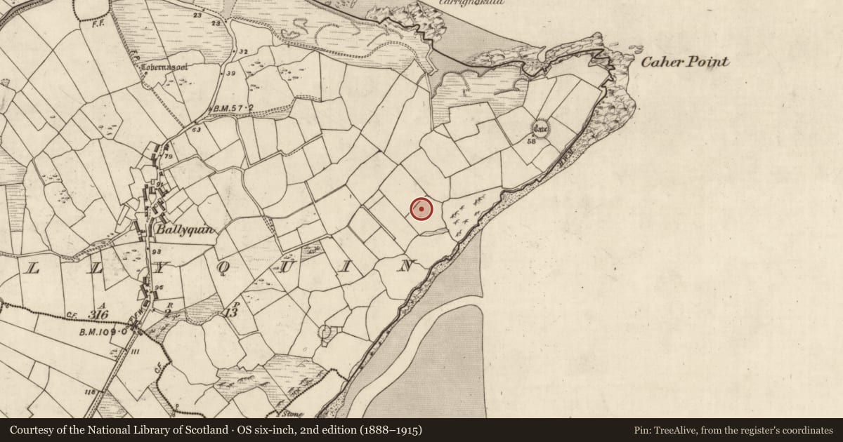 Ordnance Survey six-inch map, 2nd edition (1888–1915) covering the location of Megalithic tomb - unclassified, Baile Uí Bhuinn, County Kerry, with a pin at the register's coordinates