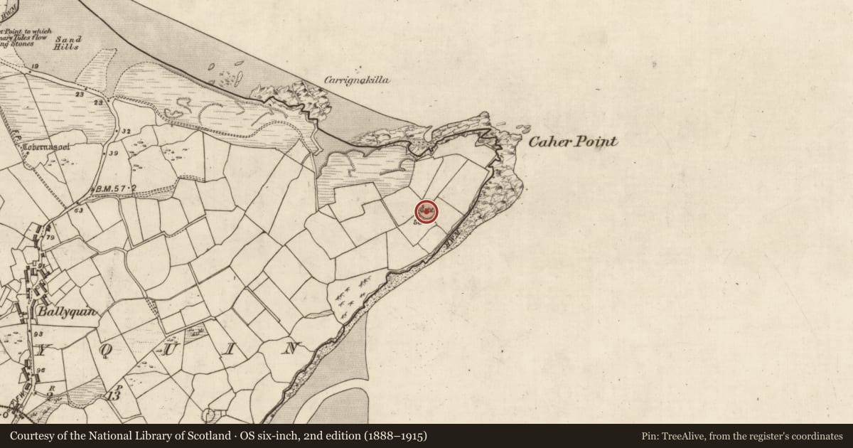 Ordnance Survey six-inch map, 2nd edition (1888–1915) covering the location of Ringfort - cashel, Baile Uí Bhuinn, County Kerry, with a pin at the register's coordinates