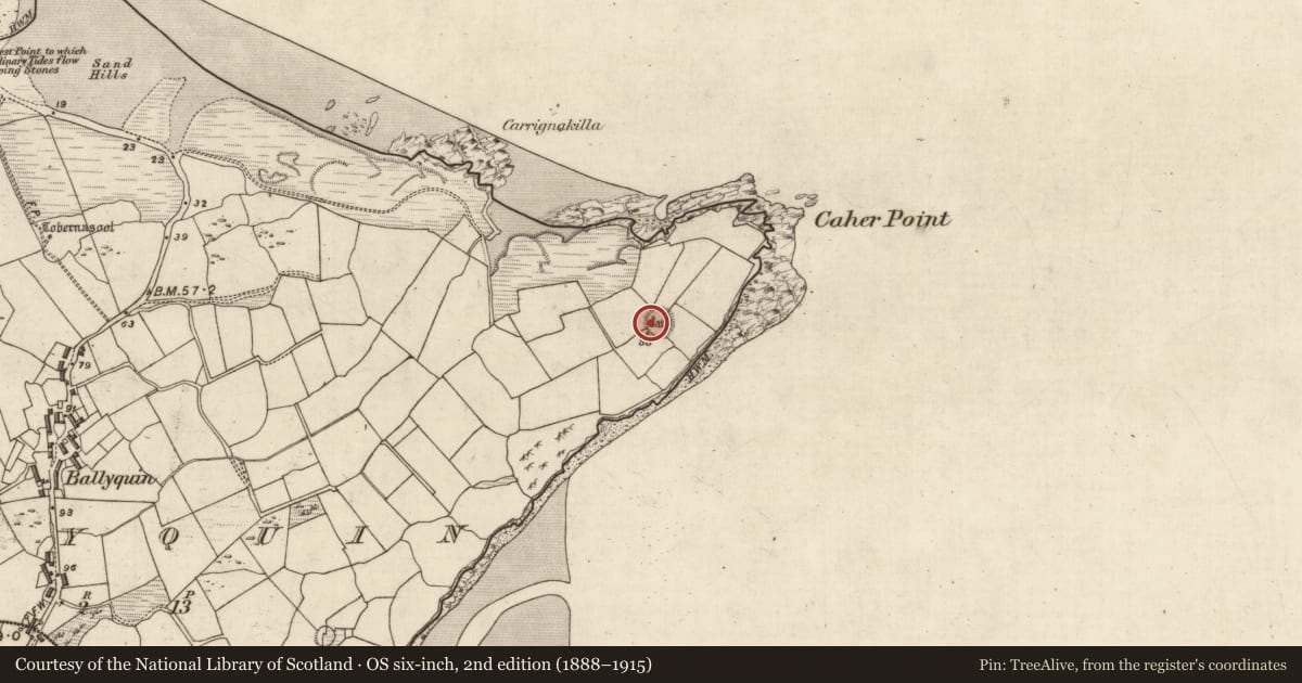 Ordnance Survey six-inch map, 2nd edition (1888–1915) covering the location of Hut site, Baile Uí Bhuinn, County Kerry, with a pin at the register's coordinates